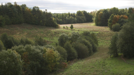 View over Radbrook Fields